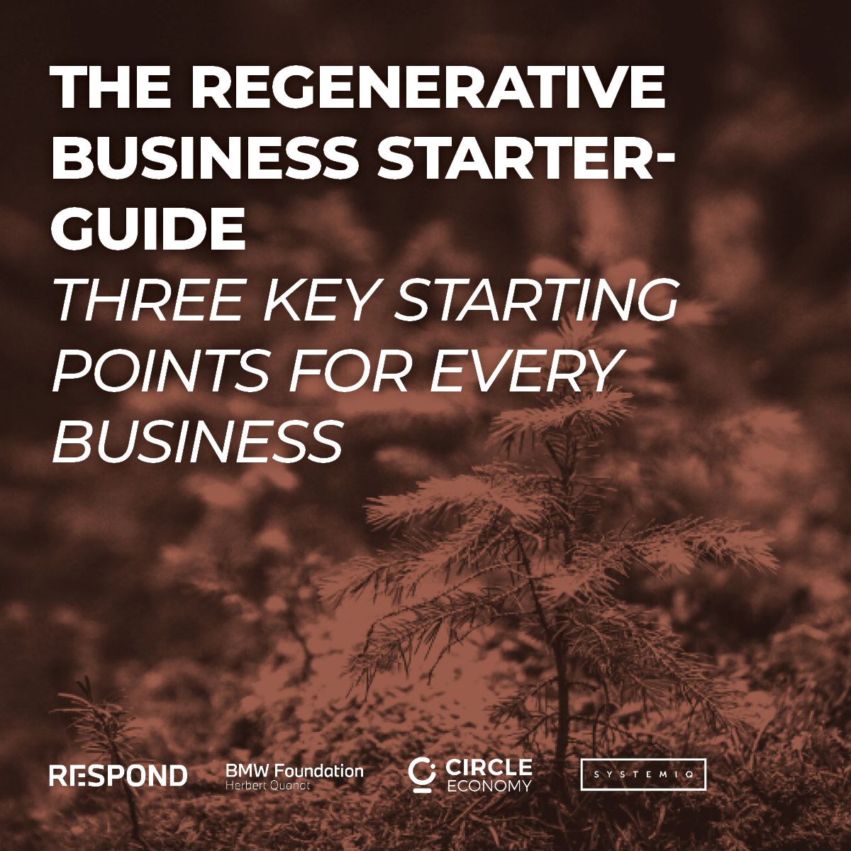 THE REGENERATIVE BUSINESS STARTERGUIDE THREE KEY STARTING POINTS FOR